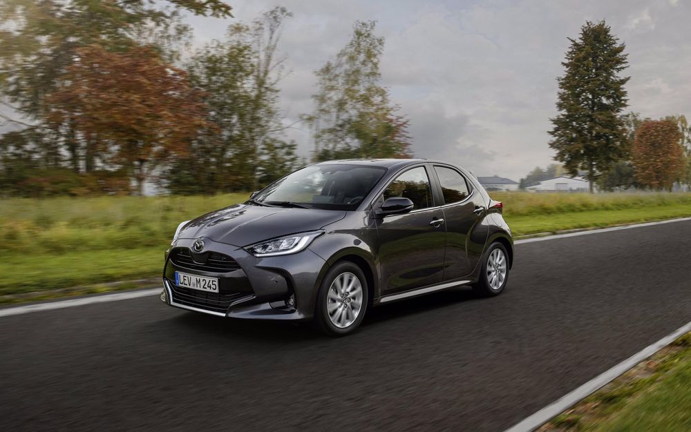 Zdjecie w galerii numer 1