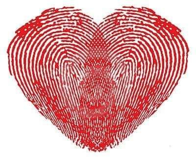 Cuidadora Idosos - Cinfães : Travanca, Fornelos, Souselo, Espadanedo,