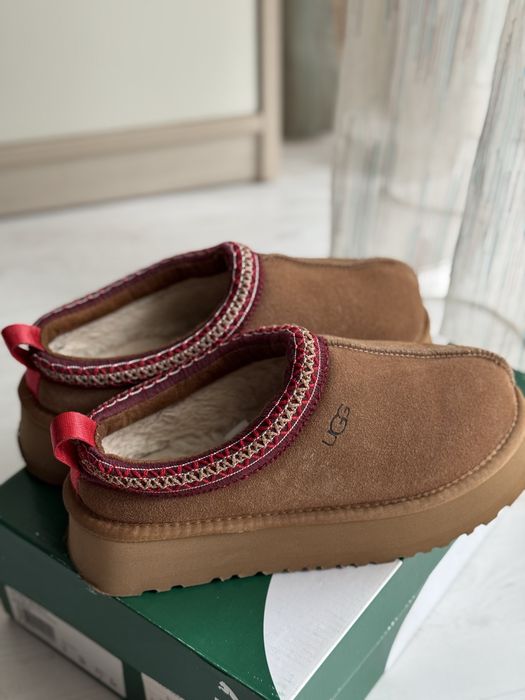 Ugg Tazz замшеві капці