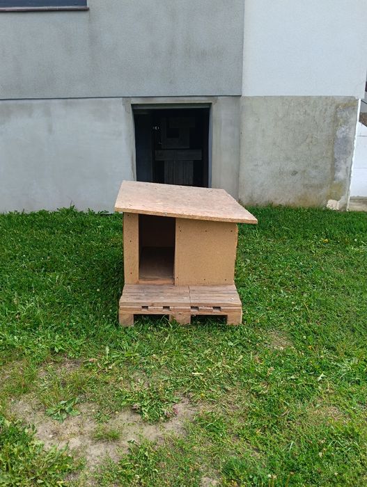 Buda dla Psa. Za darmo.