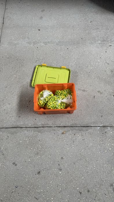 Marcador de paintball Valken SW-1 Blackhawk, OFERTA 1500 bolas