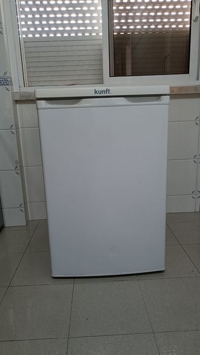 Arca congeladora + Frigorífico