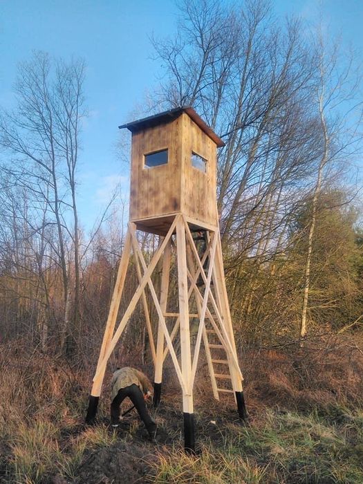 Ambona na dzika, Jelenia, sorka ASF