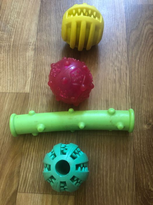 Аксессуары для собак