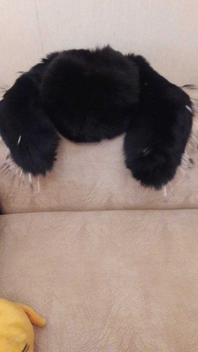 Шапка из натурального меха