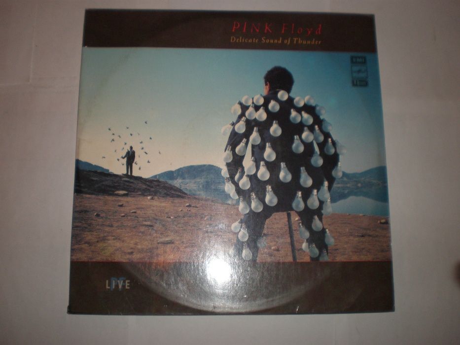 Рink Floyd Delicate Sound of Thunder A60 00543 007 2 × Vinyl, LP