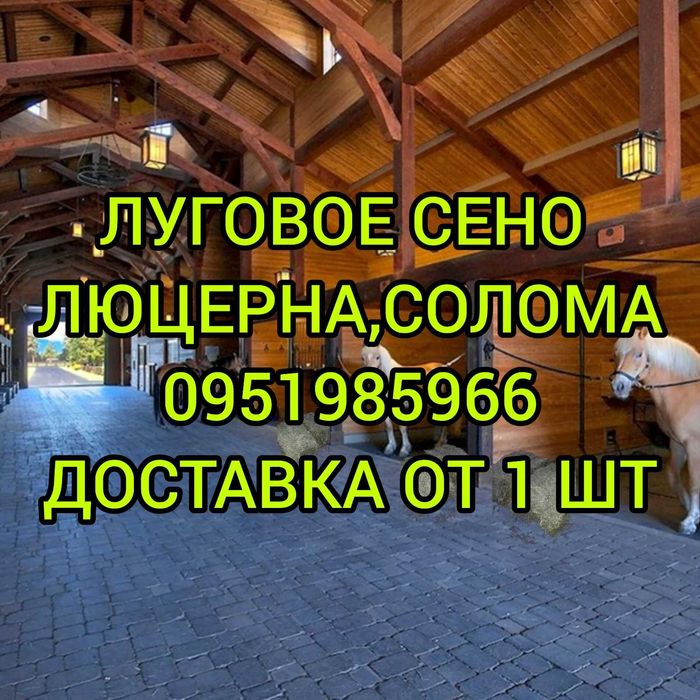 ‼️СІНО с БЕСПЛАТНОЙ доставкой в тюках, сено в тюках мешках  (проса и др виды).
