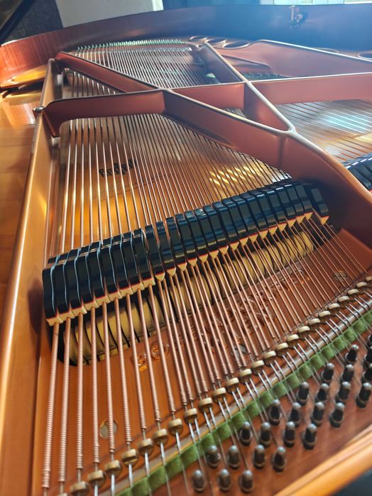 Piano de cauda Bösendorfer 200 rigorosamente impecável