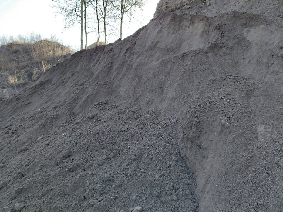 Ziemia ogrodowa, humus, przesiewana