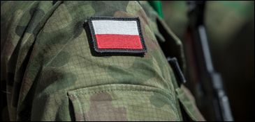 Mundur polowy wz. 2010 lub 2019 różne rozm. nowe oryginał