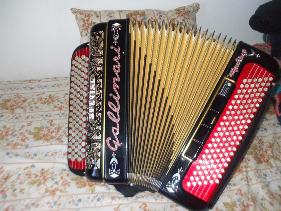 Acordeon de Botões Marca Gallinari 3ª voz Electrificado