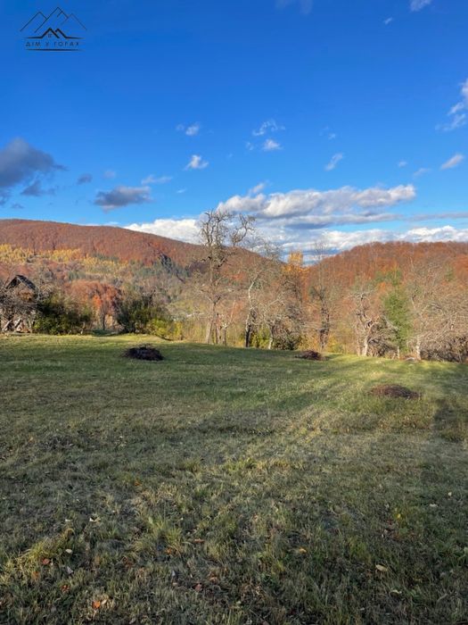 Продаж видової ділянки у с. Шешори 115 сот. Межує з лісом і дорогою
