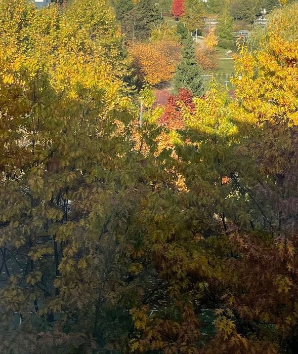 BEZPOŚREDNIO jasny przestronny Apartament, zielony Mokotów - park, cisza, widok na zieleń - 116m 4 pok - idealny dla rodziny, wszędzie blisko - View 4