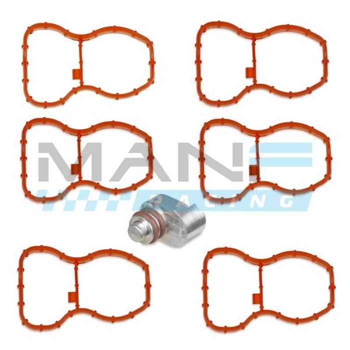 Soluções para Eliminar EGR, Permutador Água e Flap Delete em BMW