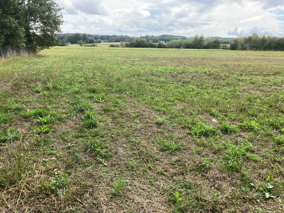 Sprzedam działki budowlane Oleśnica-Wielopole - Widok 3