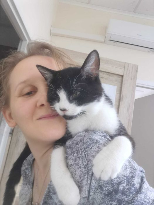 Uroczy i miziasty kocurek Jacenty szuka kochającego domu