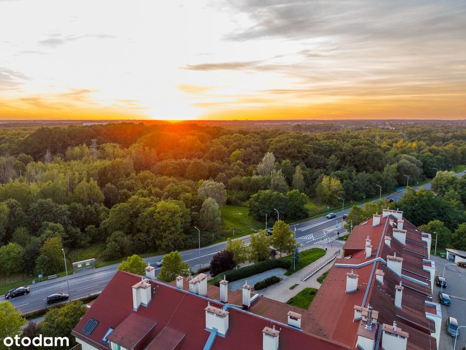 3 pokoje | 72 m² | Balkon | Zieleń | Maślice | Autobus | PKP | AOW