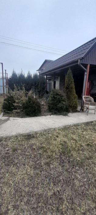 Продам дачу 12 сот  Шевченковский р,н