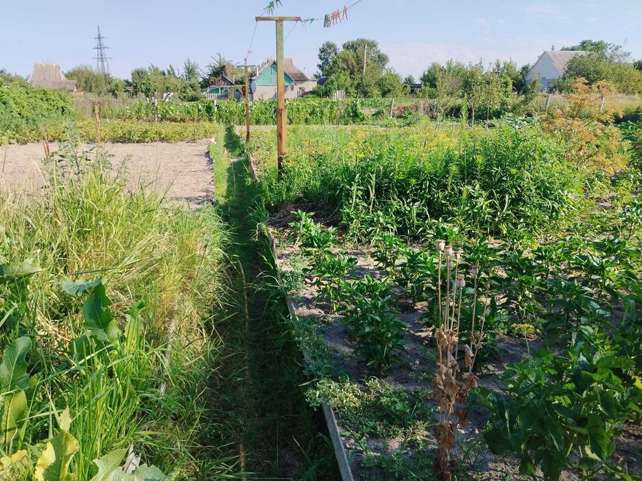 Продам дом пгт, Зидьки. Крепкий в отличном месте рядом г.Змиев