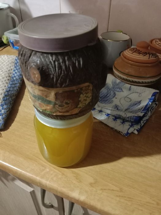 Мед сонячник из пасики