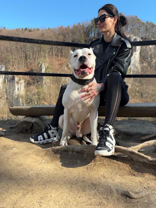 Кобель Аргентинского дога ищет девочку