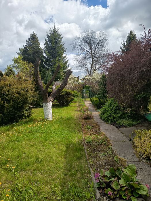 Ogródek działkowy ROD - Widok 4