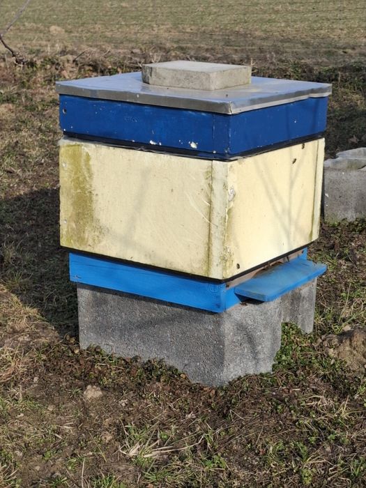 Rodziny Pszczele Sprzedam