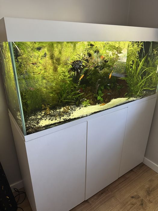 Akwarium 240 L  Juvel