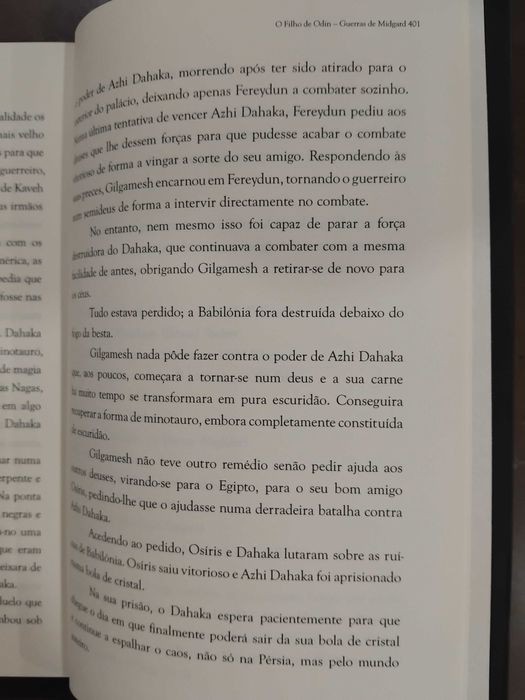 Livro de O Filho de Odin novo