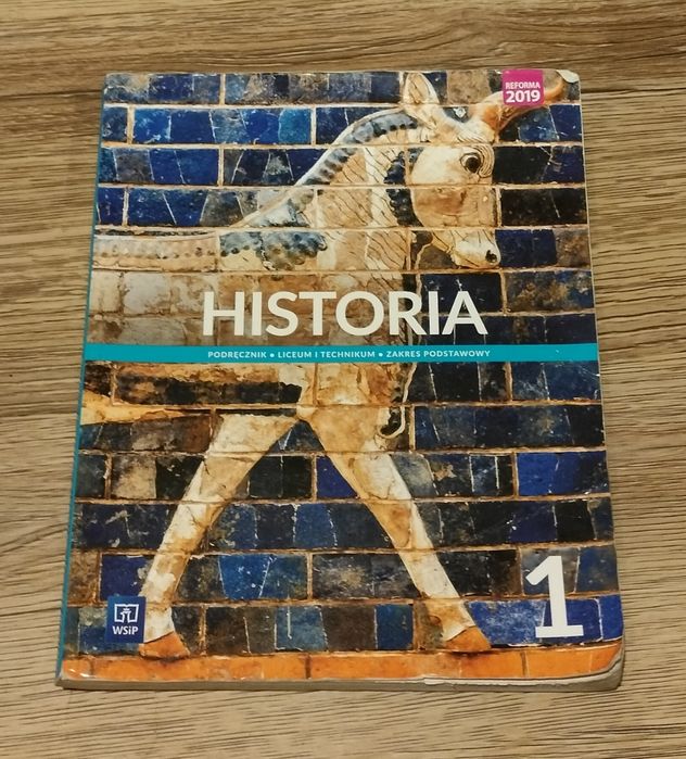 Historia 1 WSiP liceum i technikum