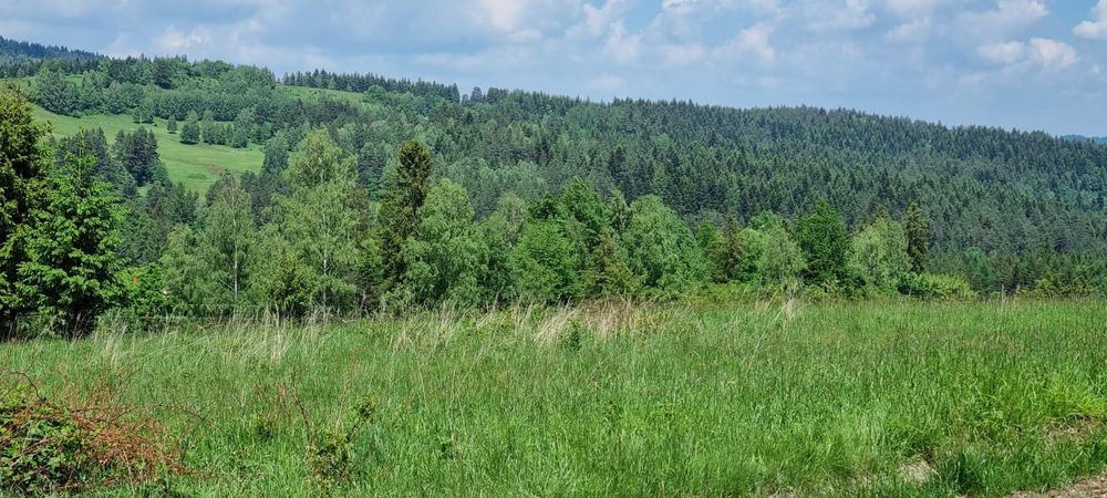 Działka budowlana w Beskidach