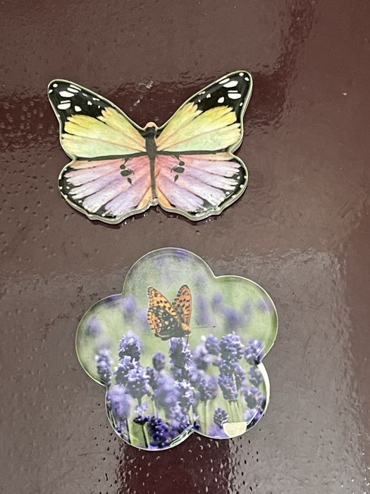Set of 2 butterfly magnets