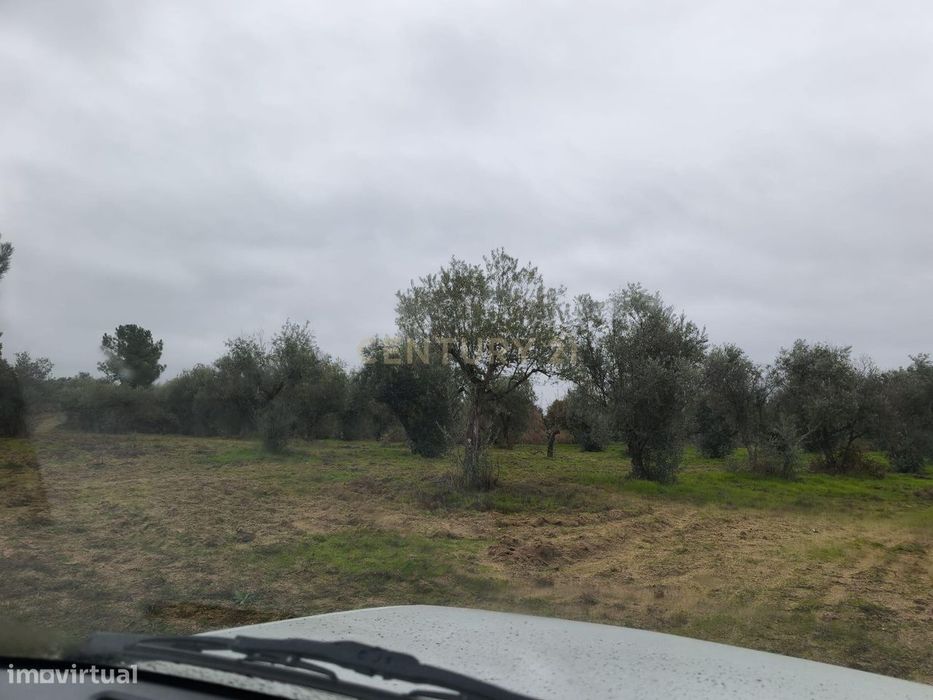 Terreno rustico com cultura arvense,montado de sobreiros, pinhal e pas