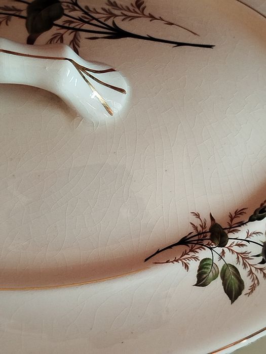 Serviço de jantar em Porcelana 1958 Rosa Negra