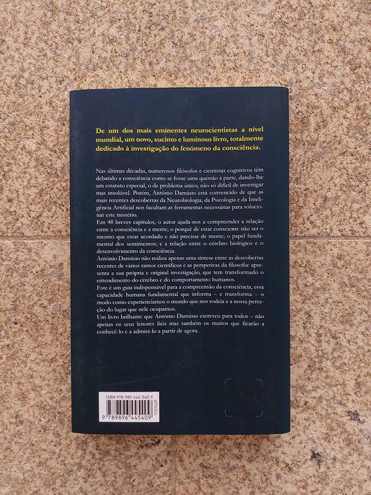 Sentir & Saber. A caminho da consciência, António Damásio