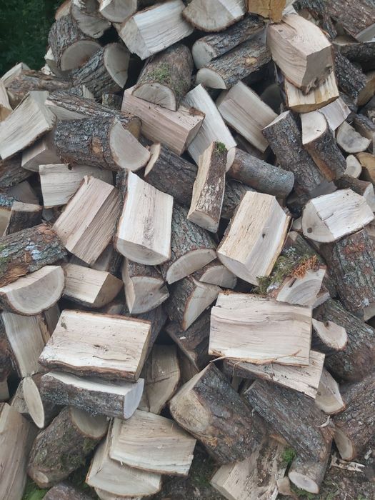 Drewno kominkowe doąb