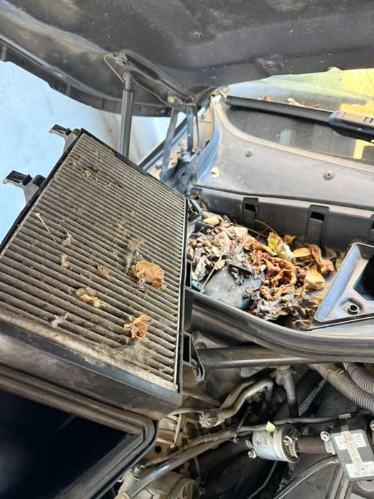 Промивка радіатора пічки  отчистка системи охолодження  автомобіля