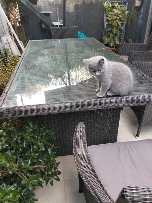 Mesa de jardim com 2metros por 1metro com 4 cadeiras como novo