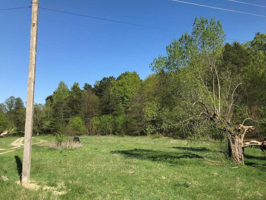 Продам земельну ділянку у Середкевичах під форелеве господарство .