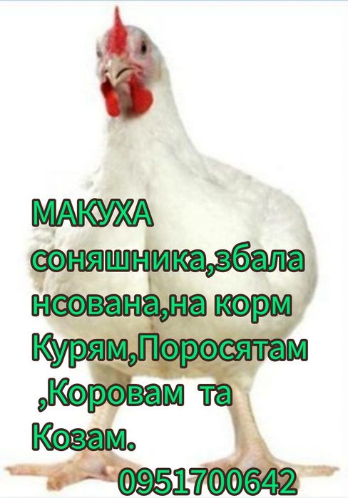 Продам макуху соняшника .