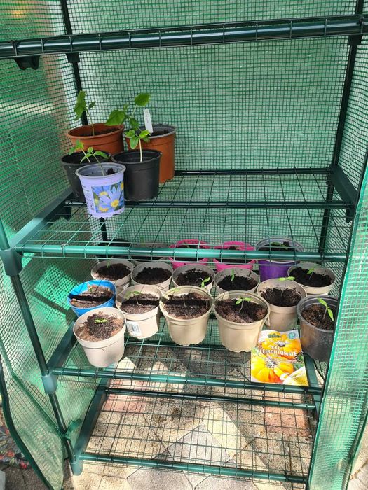 Kwietnik stojak na rośliny kwiaty uprawę szklarnia balkon