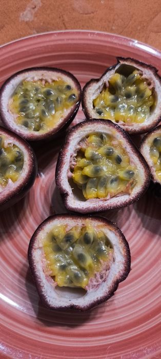 Plantas de maracujá