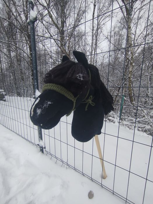 Hobby horse a3 czarny