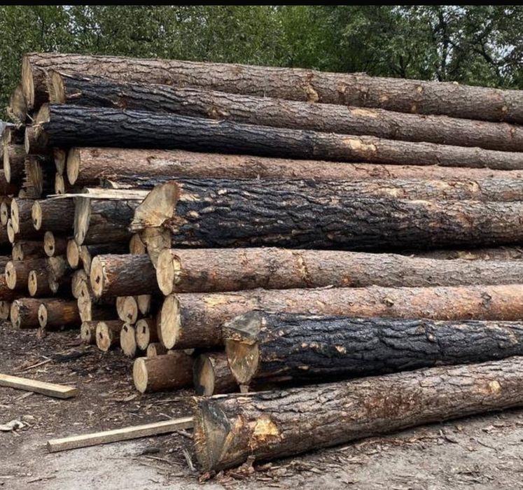 Продажа Угля (пламеный),Дрова твёрдых пород