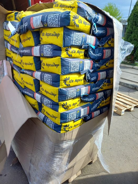 Насіння соняшника НСХ 8005 під гранстар 50г