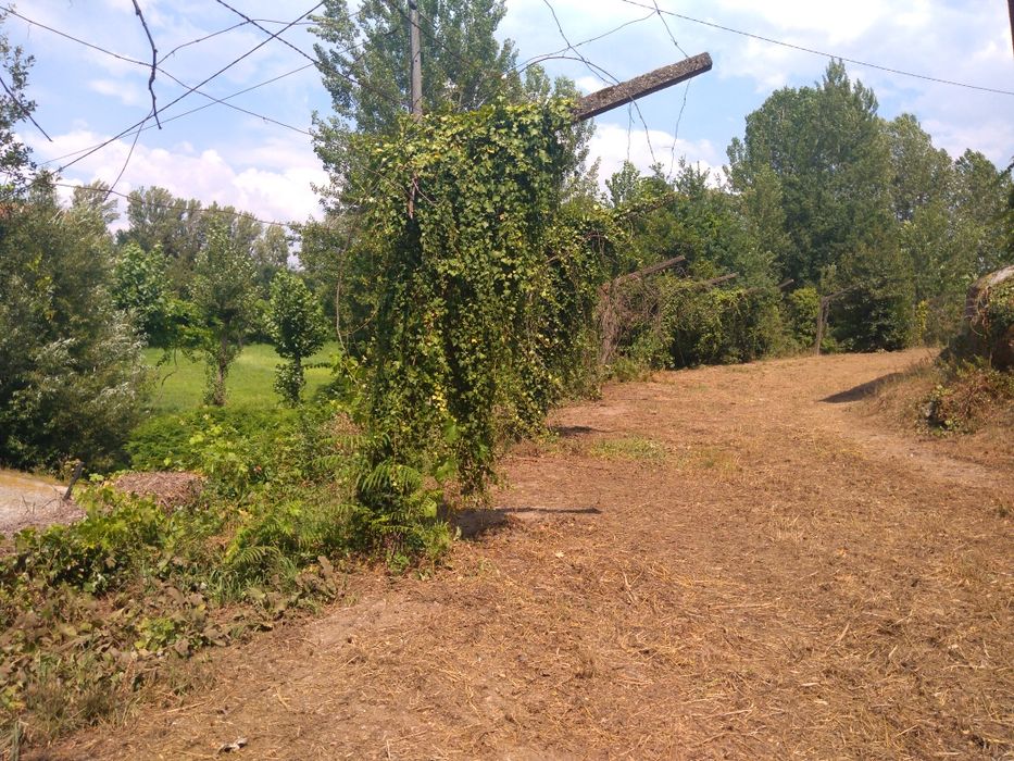 Terreno para utilizar como  estaleiro