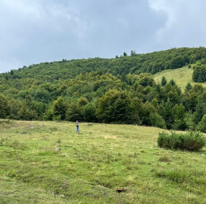 Закарпатська область, Хустський район, Міжгір'я, продаж ділянки 1,2 га