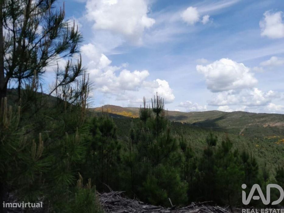 Terreno em Cortes do Meio