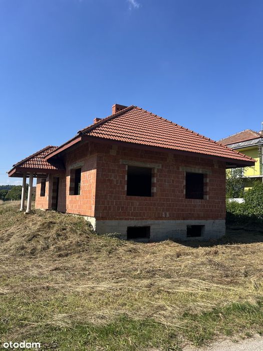 Zdjęcie 7