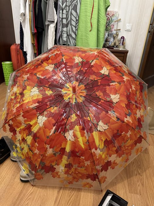 Зонтик полупрозрачный